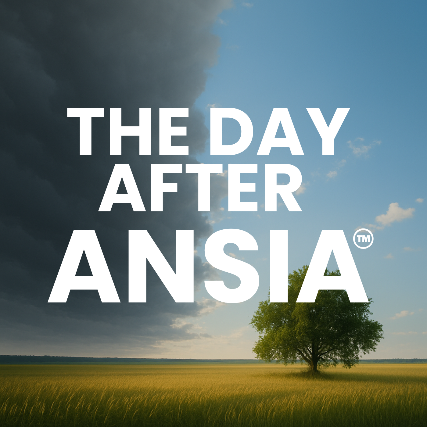THE DAY AFTER ANSIA